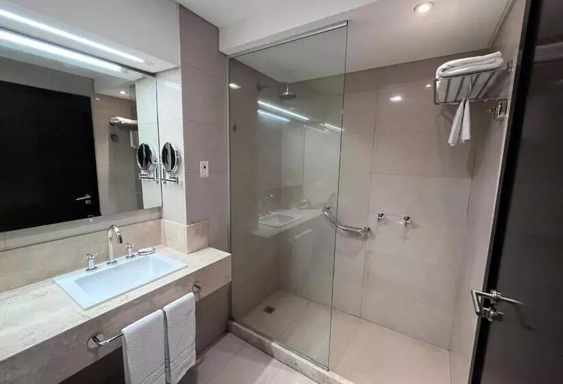 キングサイズベッドのクラシックルーム, Sheraton Tucuman