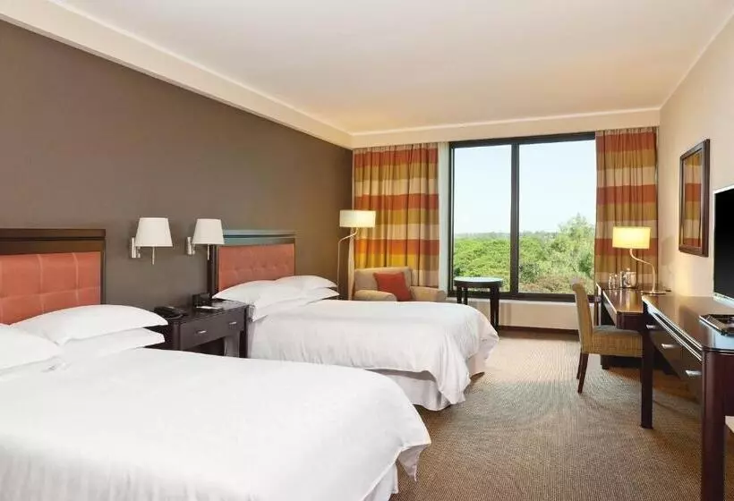 クラシックルーム, Sheraton Tucuman