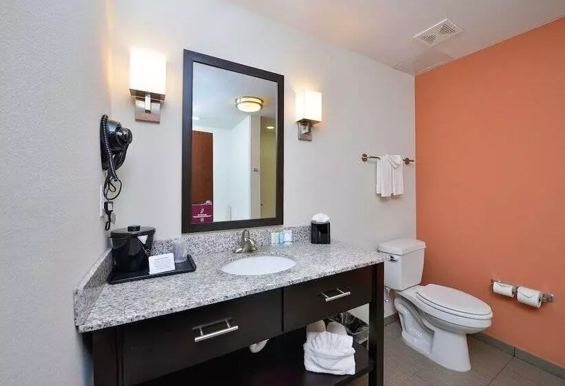 キングサイズベッドのスタンダードルーム, Sleep Inn & Suites Austin Northeast