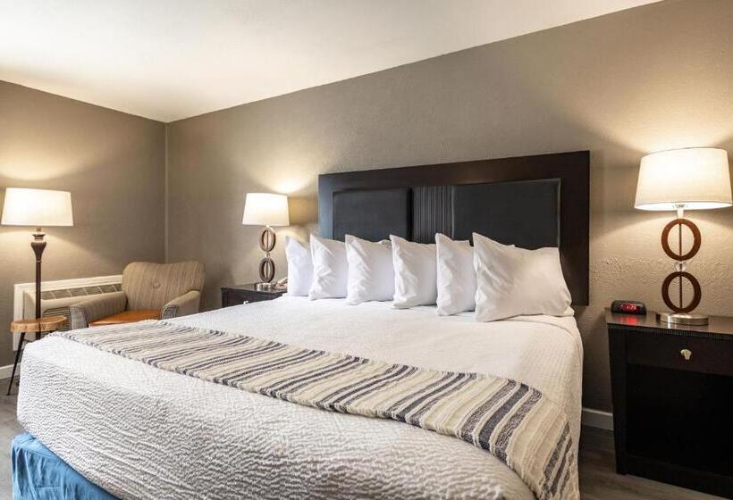 اتاق استاندارد با تخت بزرگ, The Bransinn Entertainment District