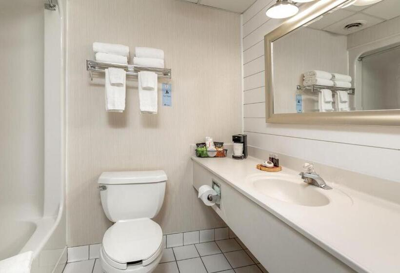 اتاق دلوکس مخصوص معلولین, The Bransinn Entertainment District