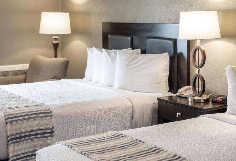 اتاق دلوکس مخصوص معلولین, The Bransinn Entertainment District