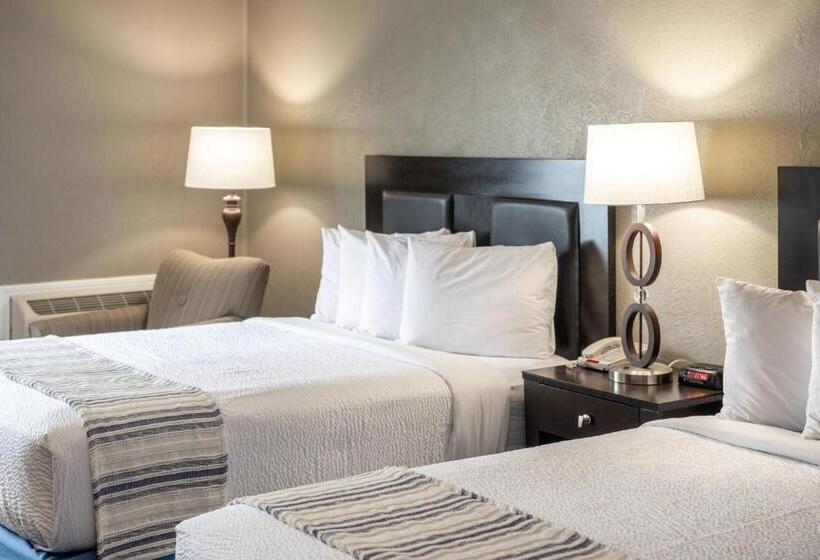 سوئیت پریمیوم, The Bransinn Entertainment District