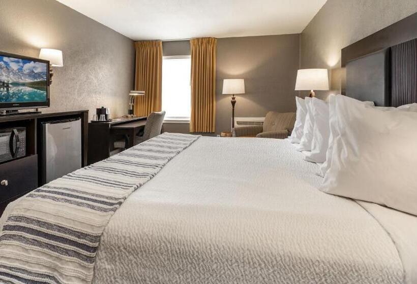 سوییت جونیور, The Bransinn Entertainment District