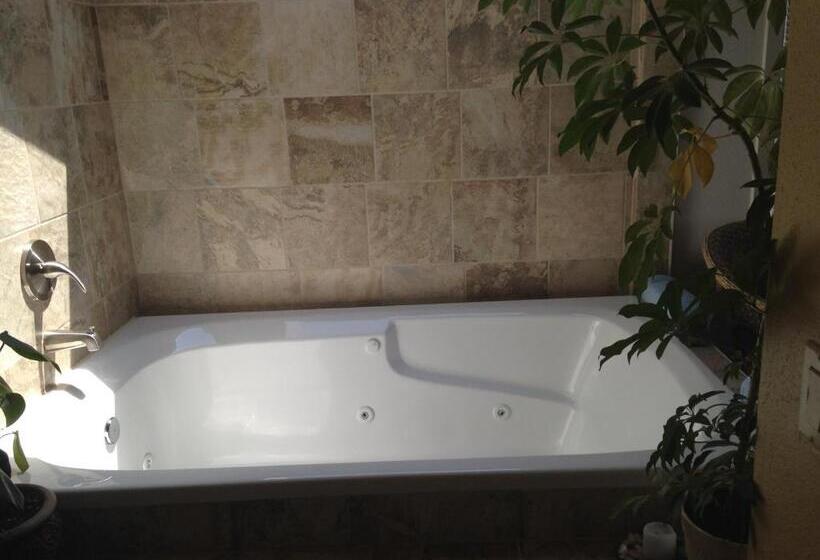 شقة ديلوكس غرفة واحدة, Starfish Point