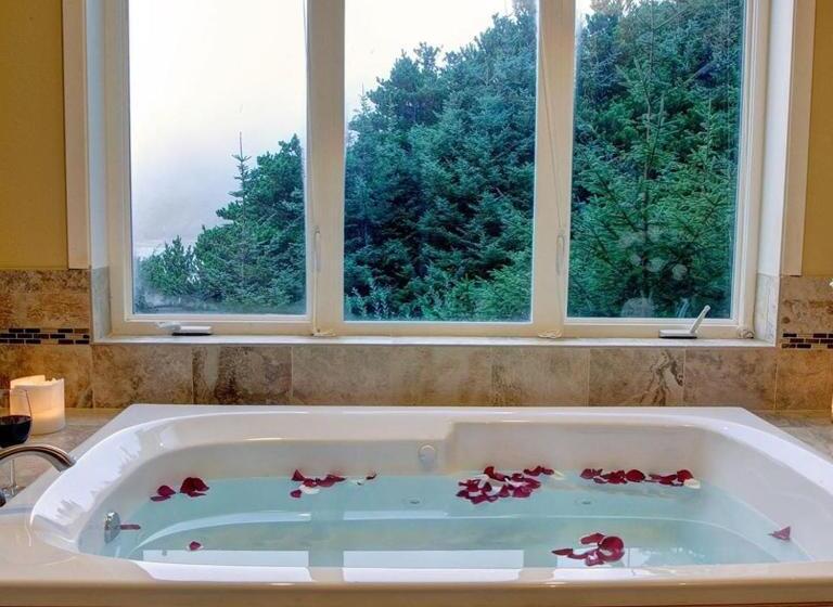 شقة بريميوم غرفة واحدة, Starfish Point