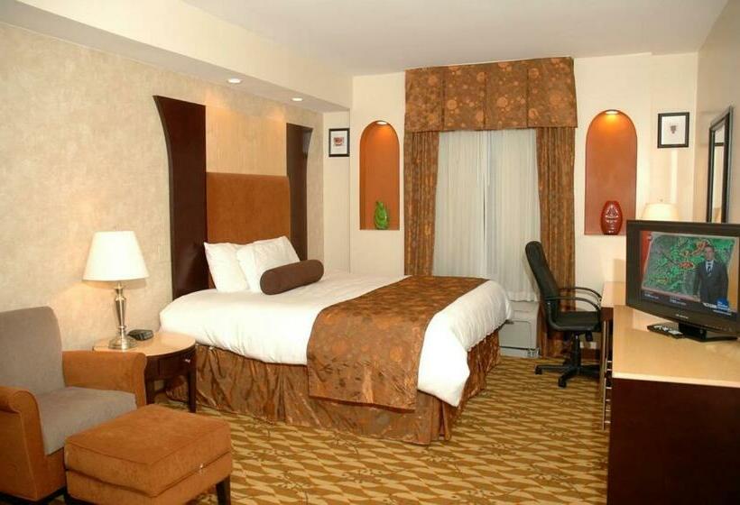 اتاق استاندارد با تخت بزرگ, Sonesta Essential Savannah