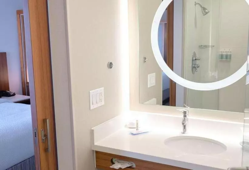 キングサイドベッドのスタンダードワンルーム, Springhill Suites By Marriott Dallas Richardson/plano
