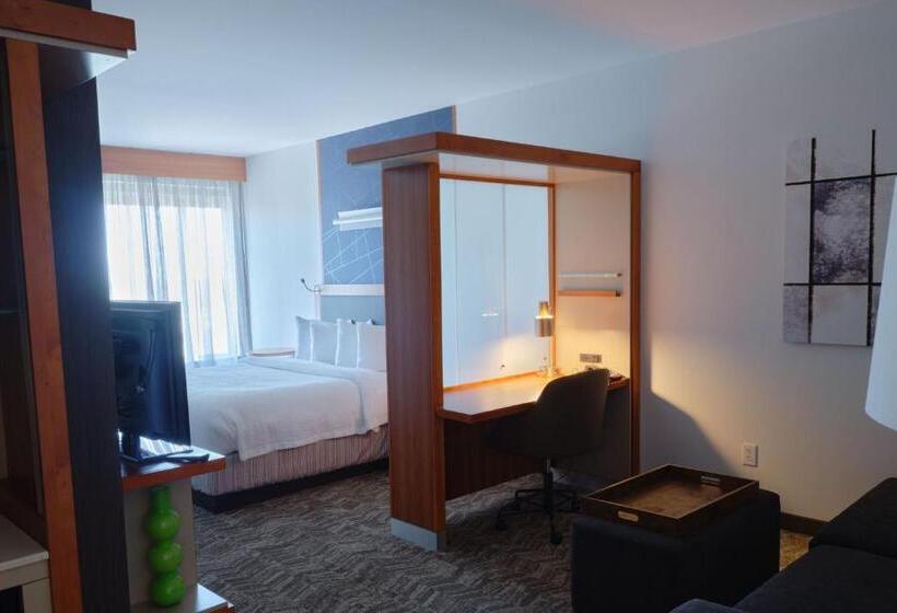 Студио Стандарт Кровать Кинг, Springhill Suites By Marriott Dallas Richardson/plano