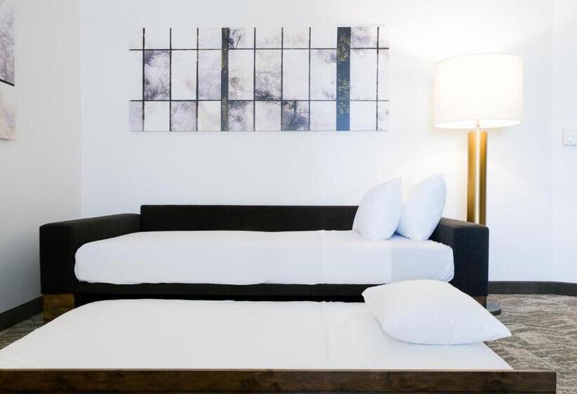 Люкс Адаптированный для Инвалидов, Springhill Suites By Marriott Dallas Richardson/plano