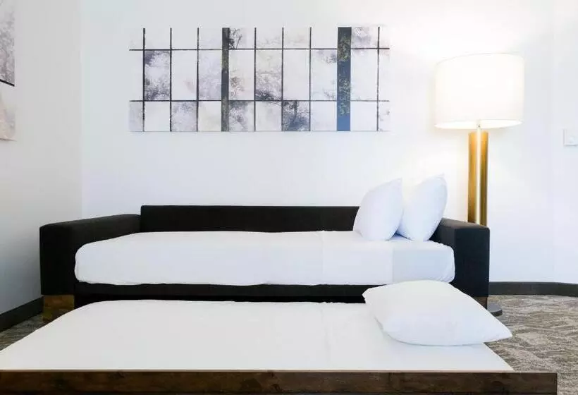 身障者適用スイートルーム, Springhill Suites By Marriott Dallas Richardson/plano
