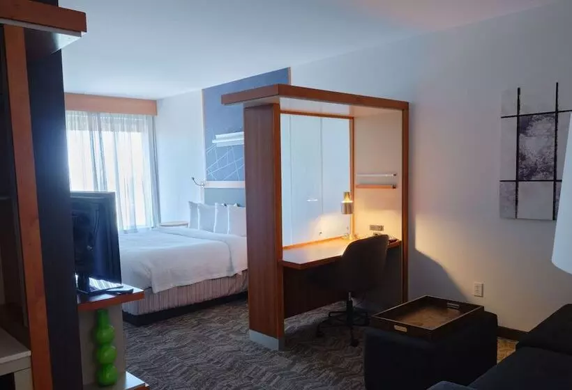 スイート（家族用）, Springhill Suites By Marriott Dallas Richardson/plano