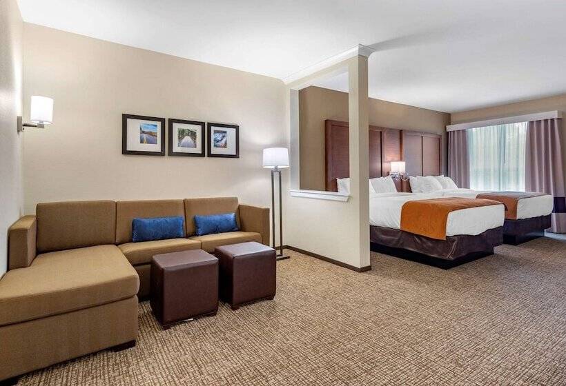 Люкс, Comfort Suites