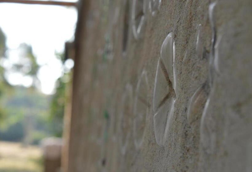 经济房, Plastic Bottle House   Dune Towers