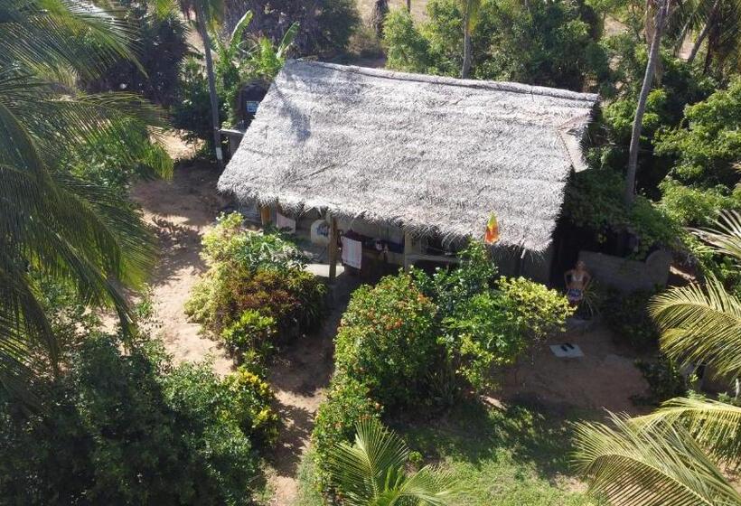 이코노미 룸, Plastic Bottle House   Dune Towers