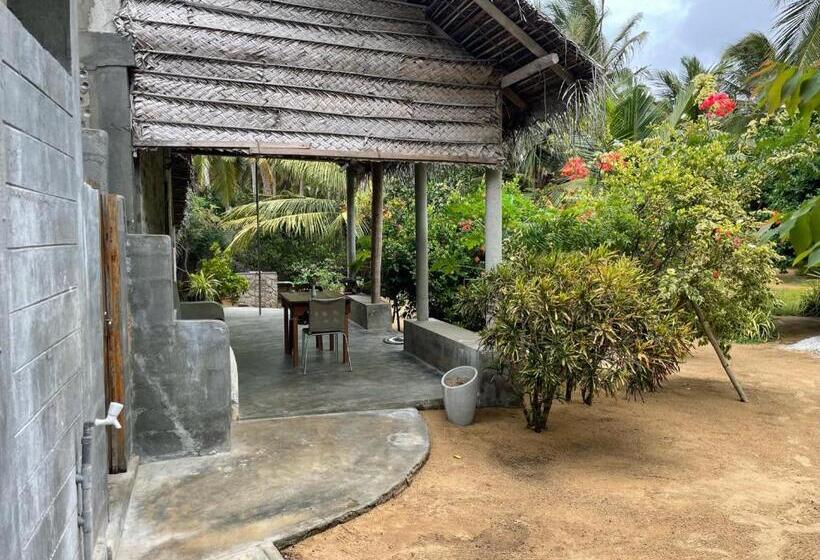 经济房, Plastic Bottle House   Dune Towers