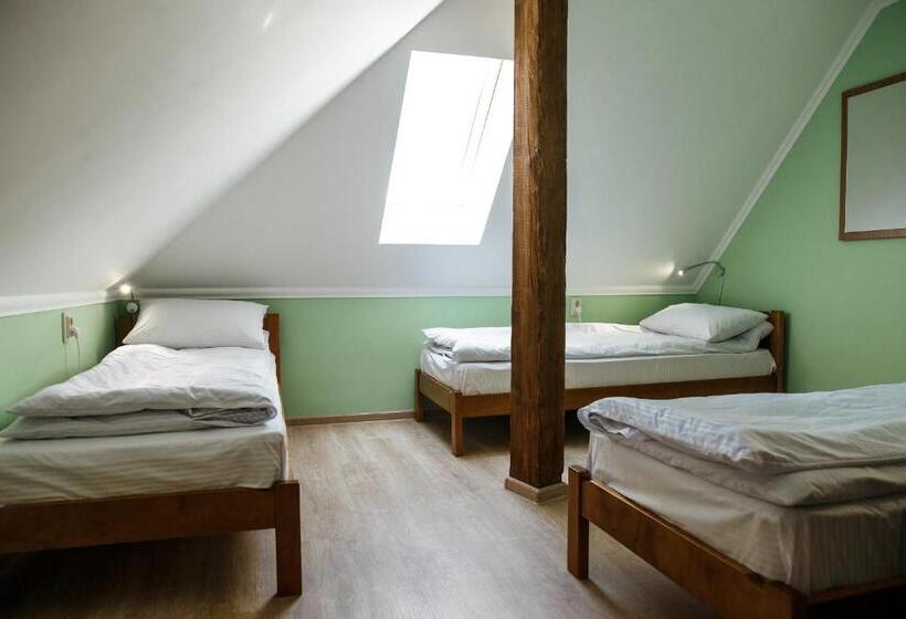 تختخواب در اتاق مشترک, Sweet Home Hostel