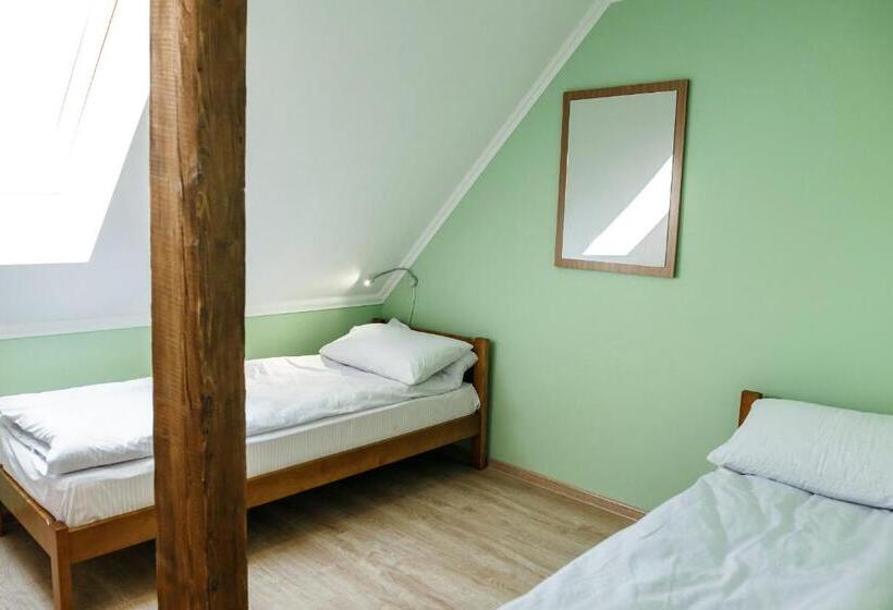 تختخواب در اتاق مشترک, Sweet Home Hostel