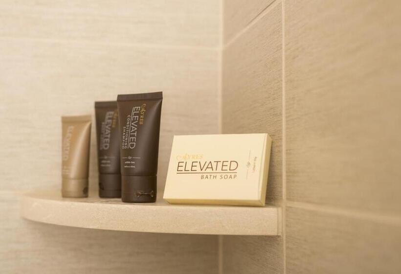 스탠다드 스튜디오 (전망), Ayres Hotel Redlands   Loma Linda