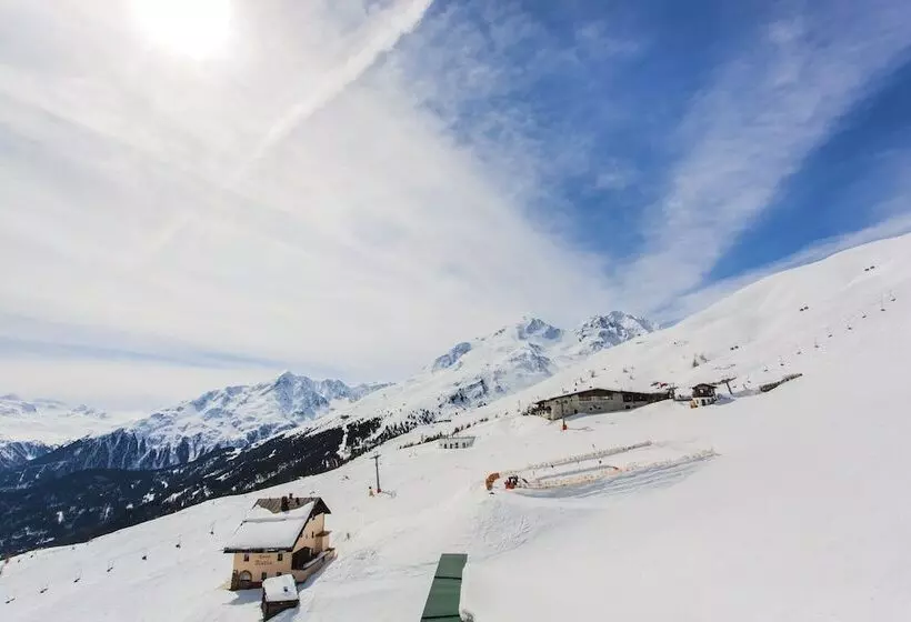 اتاق استاندارد یک نفره, Edelweiss Hochsölden Superior