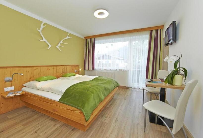 Comfort room with mountain view, Garni Landhaus Gitti