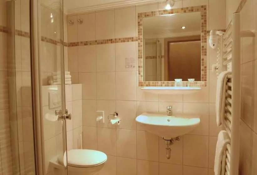 スタンダードシングルルーム, Moselstern Parkhotel Krähennest
