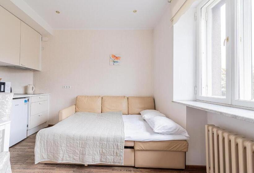 آپارتمان اکونومی 1 خوابه, Yoga Residence Apartments