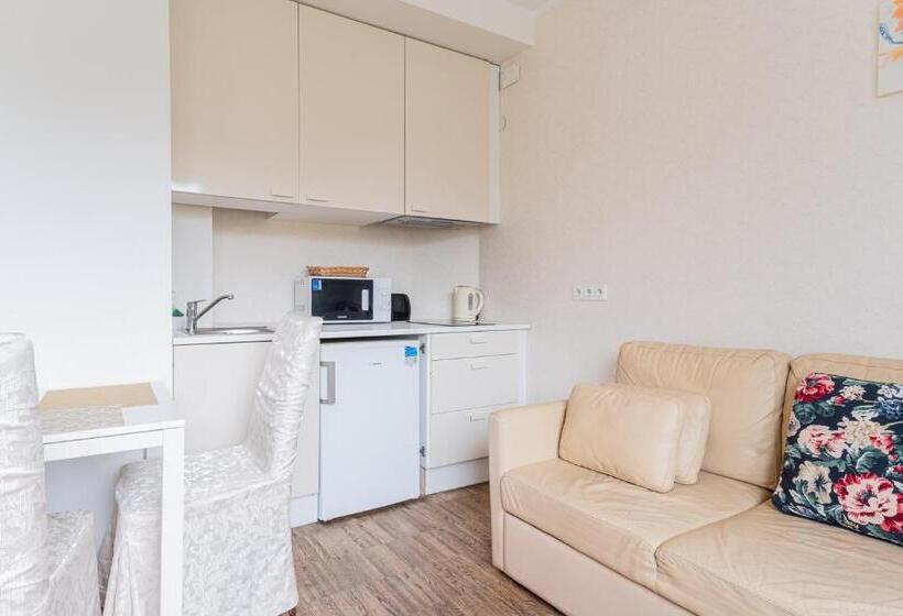 آپارتمان اکونومی 1 خوابه, Yoga Residence Apartments