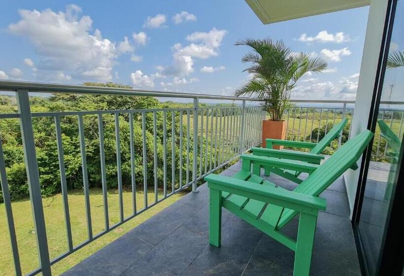 스위트, Arboreo Doradal