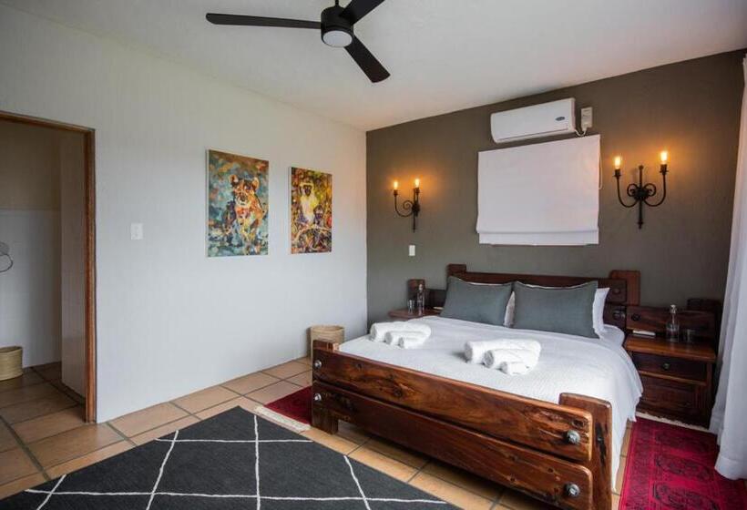 スタンダードルーム, Vida Nova Kruger