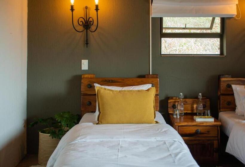 スタンダードルーム, Vida Nova Kruger