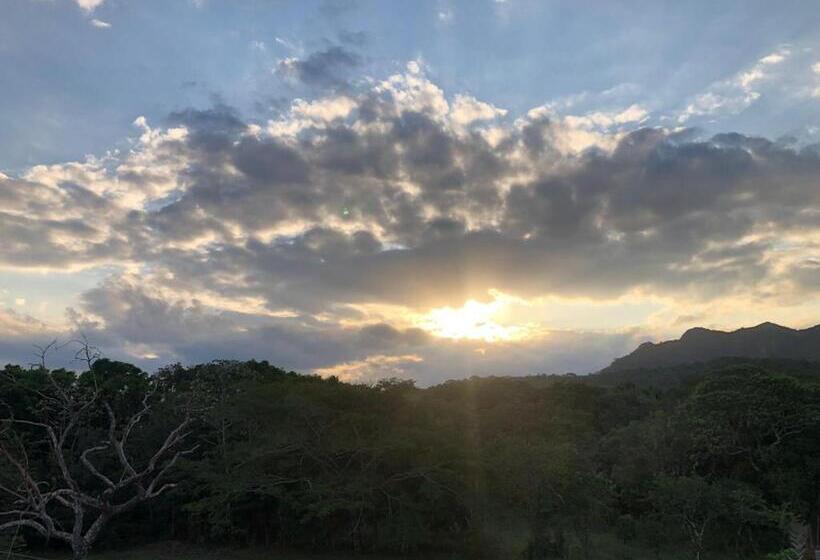 Люкс с Террасой, Hostal Bon Hábitat