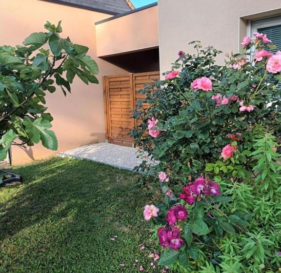 标准间带露台, Chasseport