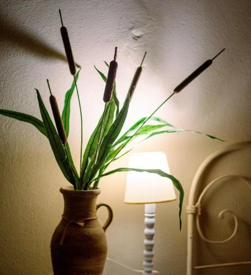 스탠다드 룸, Boutique Villa Rosarito