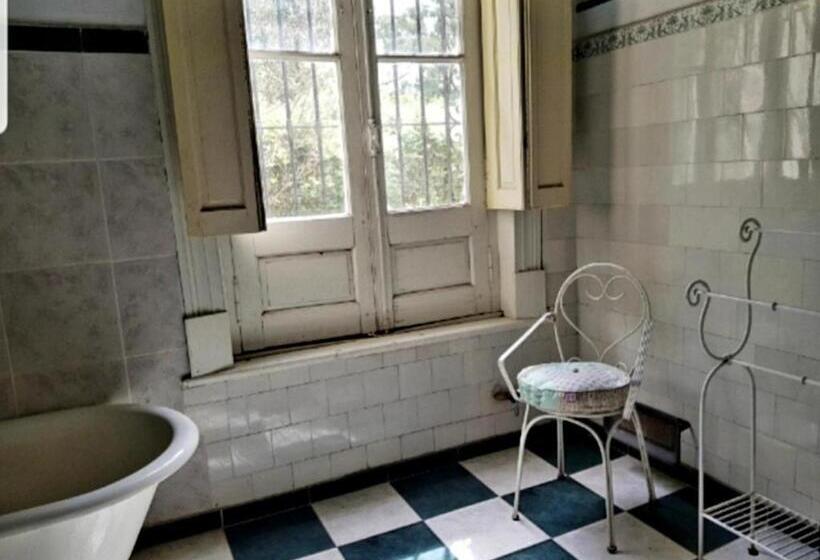 이그제큐티브 스위트, Boutique Villa Rosarito