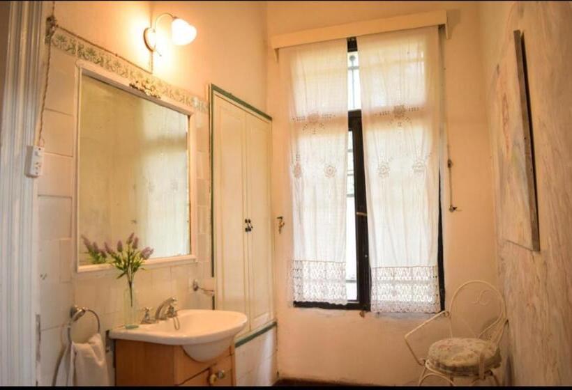 이그제큐티브 스위트, Boutique Villa Rosarito