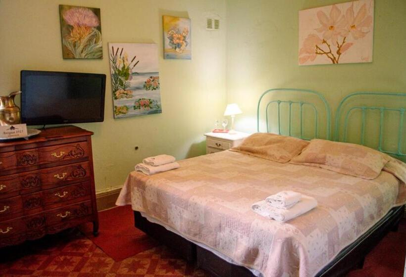 스탠다드 룸, Boutique Villa Rosarito