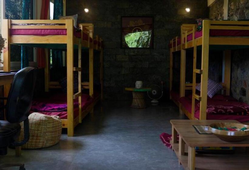 سرير فى غرفة مشتركه, Tatva Veda Homestay & Hostel