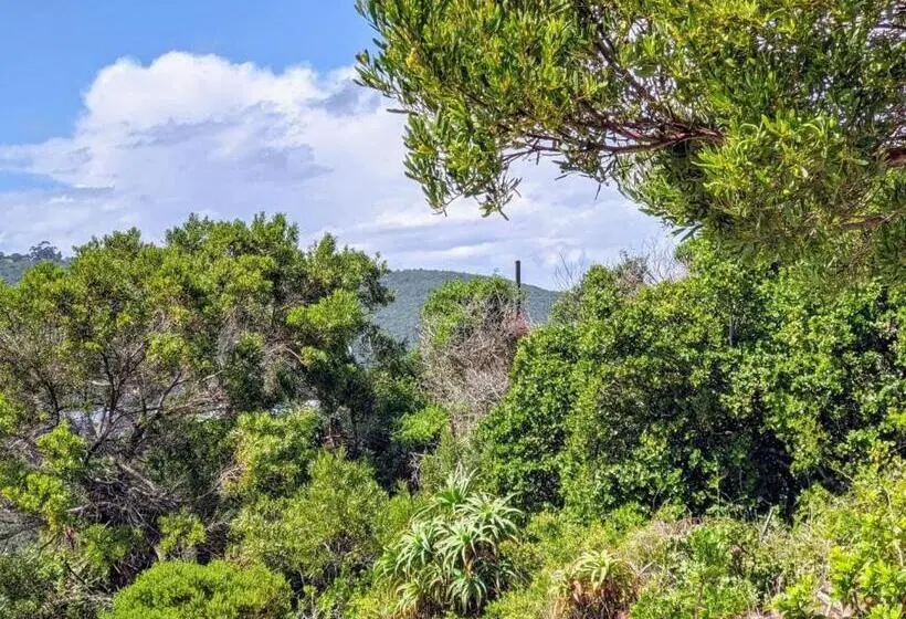 Standard-huone King-vuode, Villa Cape Garden Route