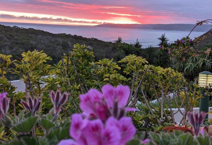 豪华海景房, Villa Cape Garden Route