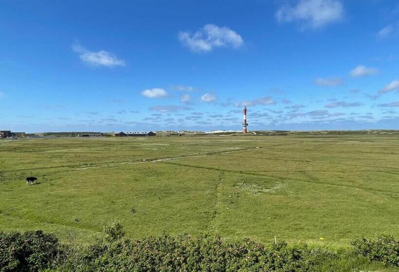 جناح, Westeroog