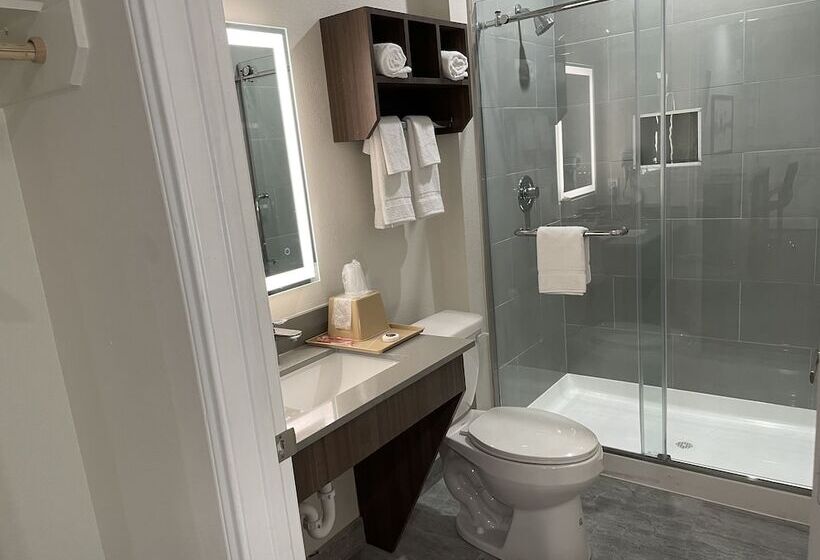 חדר סטנדרט, Palace Inn Blue  Garth Rd