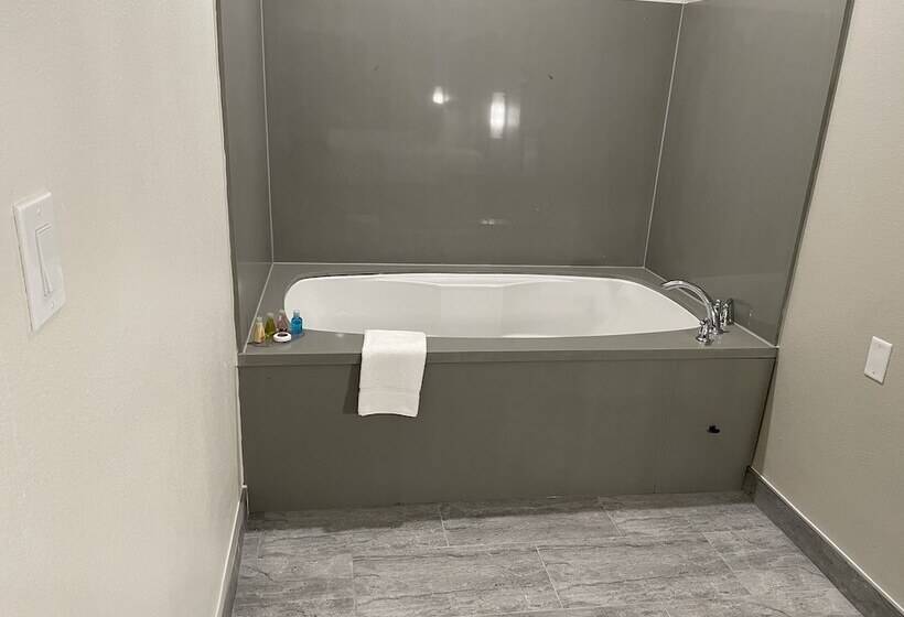 חדר סטנדרט, Palace Inn Blue  Garth Rd