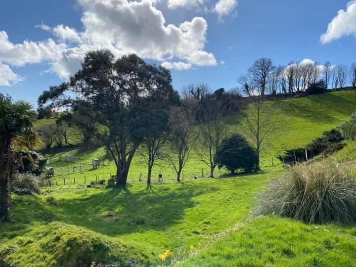 Стандартный Номер Кровать Кинг, Kerryanna Country House Bed And Breakfast