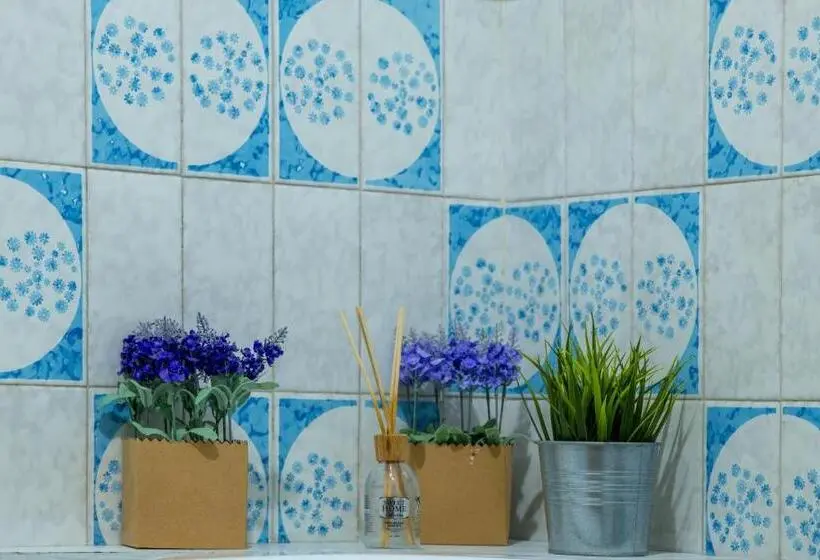 سوییت جونیور, Doctor House Standard, Suites & Luxury Rooms