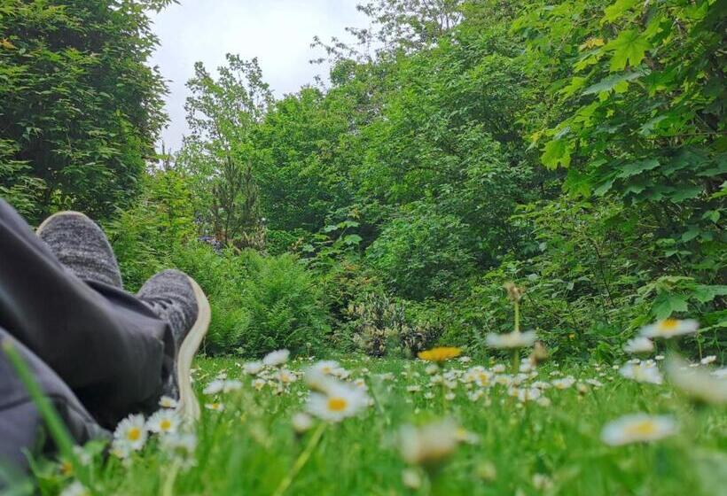 スタンダードルーム, Vor Lauter Bäumen B&b