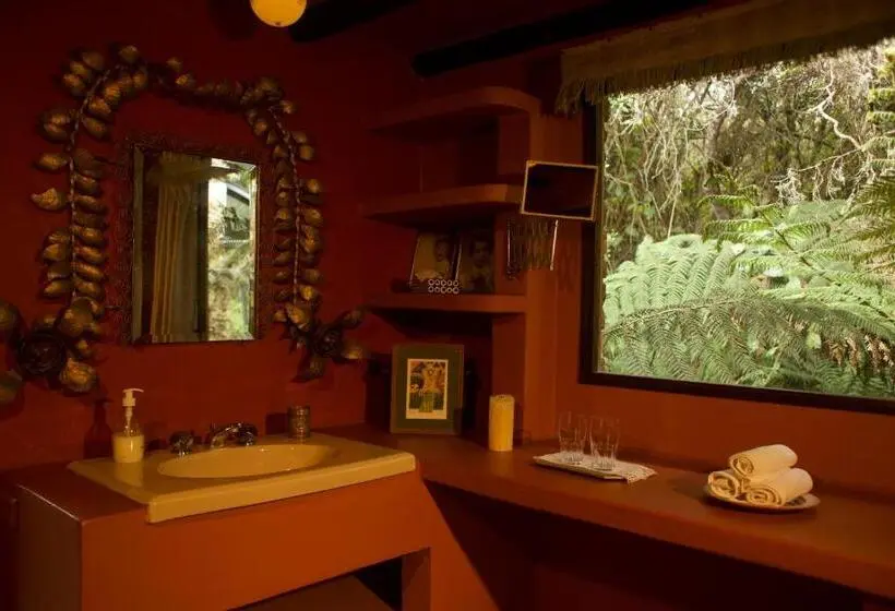 キングサイズベッドのデラックススイート, Posada Del Páramo   Rnsc Bosque De Niebla