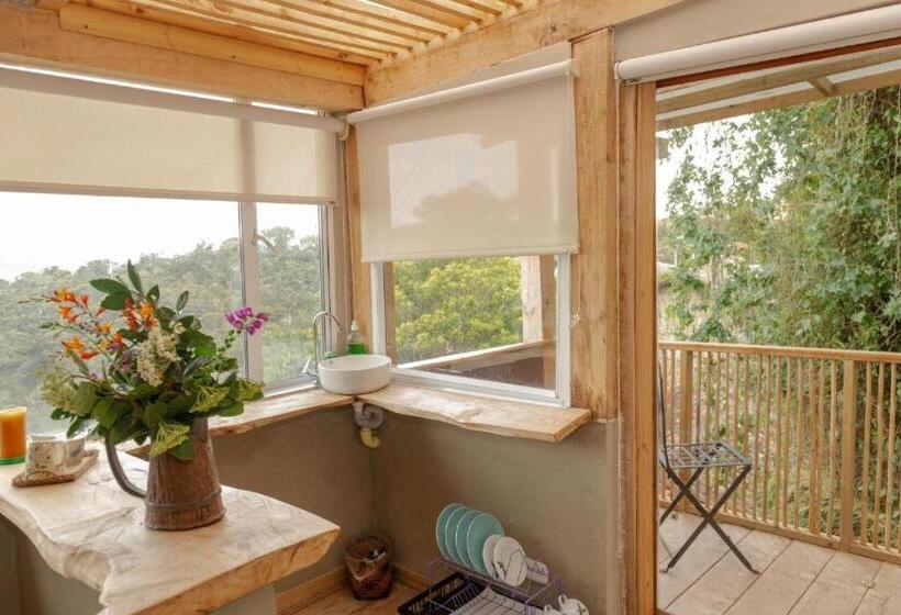 إستوديو سوبيريور, Posada Del Páramo   Rnsc Bosque De Niebla