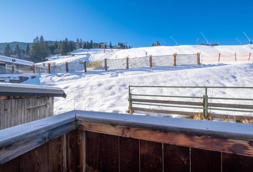 Standardrum, Pension Garni Hochmoos