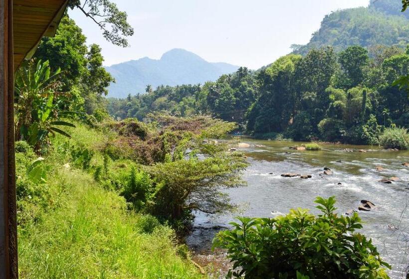 Deluxe room with river view, Rafters Retreat